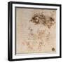 Study for the Battle of Anghiari, 1504-5-Leonardo da Vinci-Framed Giclee Print