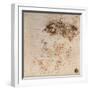 Study for the Battle of Anghiari, 1504-5-Leonardo da Vinci-Framed Giclee Print