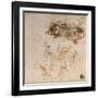 Study for the Battle of Anghiari, 1504-5-Leonardo da Vinci-Framed Giclee Print