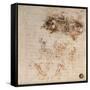 Study for the Battle of Anghiari, 1504-5-Leonardo da Vinci-Framed Stretched Canvas