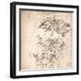 Study for the cartoon of the Battle of Anghiari, c1472-c1505 (1883)-Leonardo Da Vinci-Framed Giclee Print