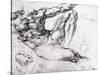 Study for the Creation of Adam-Michelangelo Buonarroti-Stretched Canvas