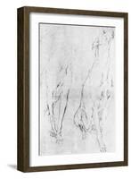 Study for the Greyhound in the Portrait of the Duke of Richmond, C1634-Sir Anthony Van Dyck-Framed Giclee Print