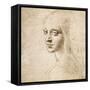 Study for the Head of a Girl, c.1483-Leonardo da Vinci-Framed Stretched Canvas