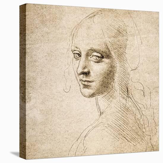 Study for the Head of a Girl, c.1483-Leonardo da Vinci-Stretched Canvas