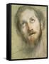 Study for the Head of Christ-Federico Fiori Barocci-Framed Stretched Canvas