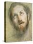 Study for the Head of Christ-Federico Fiori Barocci-Stretched Canvas