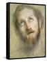 Study for the Head of Christ-Federico Fiori Barocci-Framed Stretched Canvas