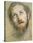 Study for the Head of Christ-Federico Fiori Barocci-Stretched Canvas