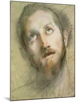 Study for the Head of Christ-Federico Fiori Barocci-Mounted Giclee Print