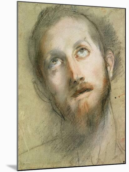 Study for the Head of Christ-Federico Fiori Barocci-Mounted Giclee Print