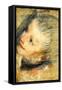 Study for the Head of Jesus Christ-Federico Barocci-Framed Stretched Canvas