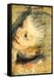 Study for the Head of Jesus Christ-Federico Barocci-Framed Stretched Canvas