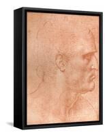 Study for the Head of St Matthew in the Last Supper, C1494-C1499 (1883)-Leonardo da Vinci-Framed Stretched Canvas