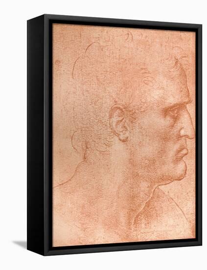 Study for the Head of St Matthew in the Last Supper, C1494-C1499 (1883)-Leonardo da Vinci-Framed Stretched Canvas