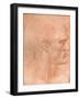 Study for the Head of St Matthew in the Last Supper, C1494-C1499 (1883)-Leonardo da Vinci-Framed Giclee Print