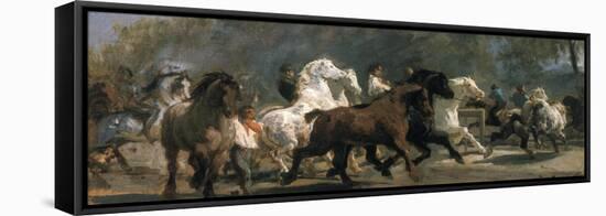 Study for the Horsemarket, 1900-Rosa Bonheur-Framed Stretched Canvas