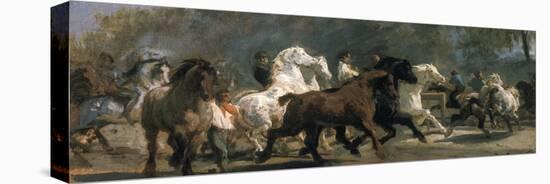 Study for the Horsemarket, 1900-Rosa Bonheur-Stretched Canvas