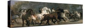 Study for the Horsemarket, 1900-Rosa Bonheur-Stretched Canvas