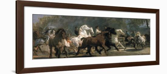 Study for the Horsemarket, 1900-Rosa Bonheur-Framed Giclee Print