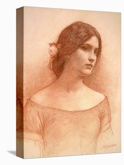 Study for 'The Lady Clare', C.1900 (Red Chalk on Paper) (See 55018)-John William Waterhouse-Stretched Canvas