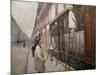 Study for the Painters, 1877-Gustave Caillebotte-Mounted Giclee Print