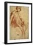 Study for the Phrygian Sibyl, 1511-1512-Raphael-Framed Giclee Print