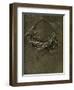 Study for the Sea Maiden, 1899-Herbert James Draper-Framed Giclee Print