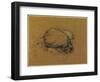 Study for 'The Sea Maiden' (Charcoal Heightened with Chalk)-Herbert James Draper-Framed Giclee Print
