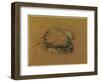 Study for 'The Sea Maiden' (Charcoal Heightened with Chalk)-Herbert James Draper-Framed Premium Giclee Print