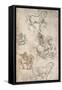 Study for the Sforza Monument, c1482-c1499 (1883)-Leonardo Da Vinci-Framed Stretched Canvas