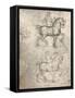 Study for the Sforza Monument, c1482-c1499 (1883)-Leonardo Da Vinci-Framed Stretched Canvas