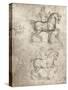 Study for the Sforza Monument, c1482-c1499 (1883)-Leonardo Da Vinci-Stretched Canvas