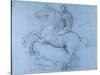 Study for the Sforza Monument, C1488-1493-Leonardo da Vinci-Stretched Canvas