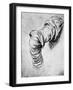 Study for the Sleeve of the Right Arm of St Peter, 15th Century-Leonardo da Vinci-Framed Giclee Print