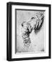 Study for the Sleeve of the Right Arm of St Peter, 15th Century-Leonardo da Vinci-Framed Giclee Print