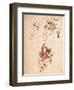 Study for the Virgin and Child with a Cat-Leonardo da Vinci-Framed Giclee Print