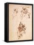 Study for the Virgin and Child with a Cat-Leonardo da Vinci-Framed Stretched Canvas