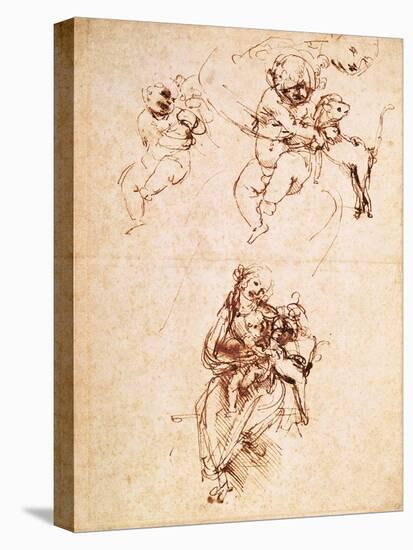 Study for the Virgin and Child with a Cat-Leonardo da Vinci-Stretched Canvas