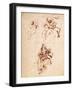 Study for the Virgin and Child with a Cat-Leonardo da Vinci-Framed Giclee Print