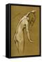 Study for the Water Baby, 1900-Herbert James Draper-Framed Stretched Canvas