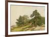 Study for Trees on Beverly Coast (Oil on Canvas)-John Frederick Kensett-Framed Giclee Print