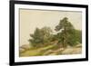 Study for Trees on Beverly Coast (Oil on Canvas)-John Frederick Kensett-Framed Giclee Print