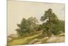 Study for Trees on Beverly Coast (Oil on Canvas)-John Frederick Kensett-Mounted Giclee Print