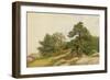 Study for Trees on Beverly Coast (Oil on Canvas)-John Frederick Kensett-Framed Giclee Print