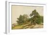 Study for Trees on Beverly Coast (Oil on Canvas)-John Frederick Kensett-Framed Giclee Print