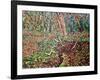 Study for Trunk 2-Noel Paine-Framed Giclee Print