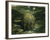 Study for "Waiting for the Day", 1979-Evelyn Williams-Framed Giclee Print