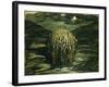 Study for "Waiting for the Day", 1979-Evelyn Williams-Framed Giclee Print