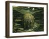 Study for "Waiting for the Day", 1979-Evelyn Williams-Framed Giclee Print